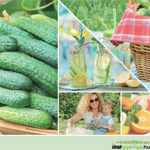 Cucumber Mint Cooler Signature nagy üveggyertya 567 g