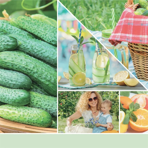 Yankee Candle® Cucumber Mint Cooler Signature közepes üveggyertya 368 g