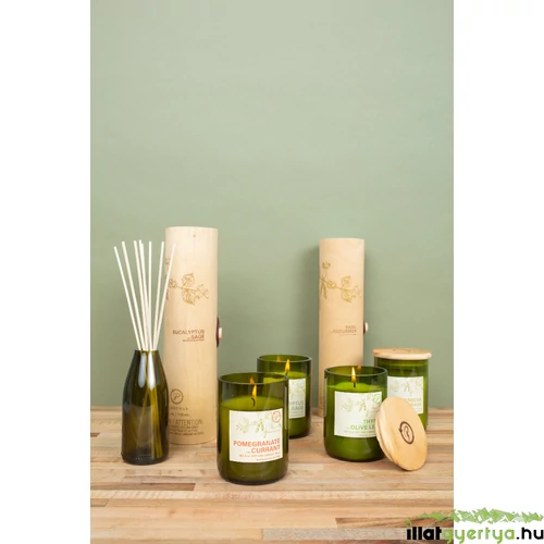 Thyme & Olive Leaf Eco diffúzor