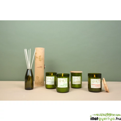 Thyme & Olive Leaf Eco diffúzor