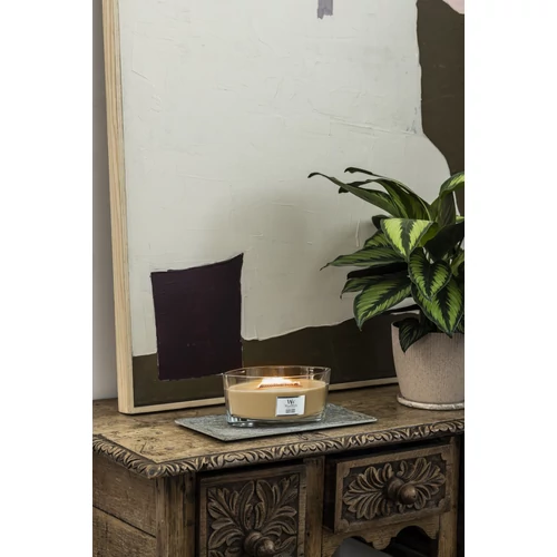 WoodWick® Gilded Sands hajógyertya 453 g