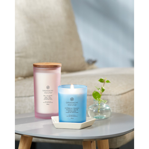 Chesapeake Bay Candle® confidence + freedom (oak moss amber) közepes üveggyertya 250 g