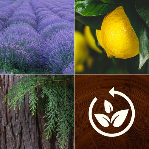 Lavender & Cypress ReNew közepes üveggyertya