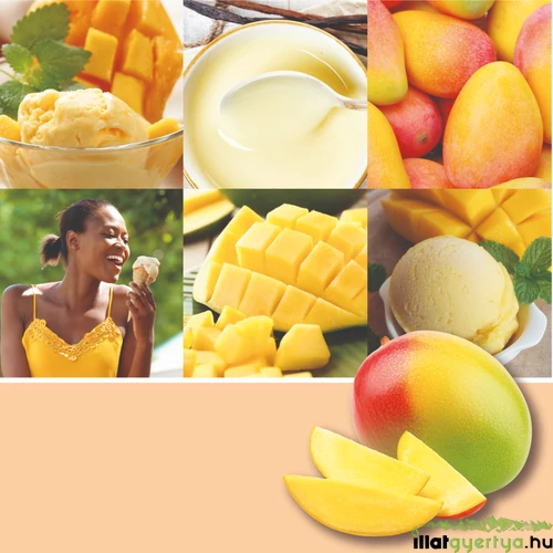 Mango Ice Cream Signature nagy poharas gyertya 567 g