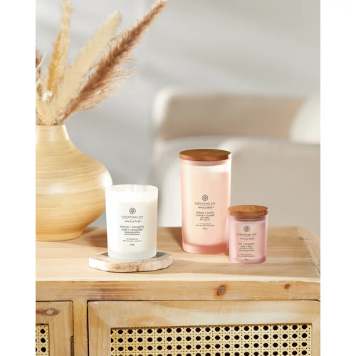 Chesapeake Bay Candle® joy + laughter (cranberry dahlia) kis üveggyertya 96 g
